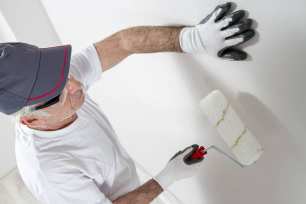 Best Mold Damage Restoration  in West Lafayette, OH