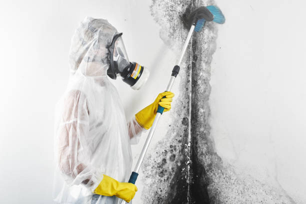 Best Post-Remediation Verification Testing  in West Lafayette, OH