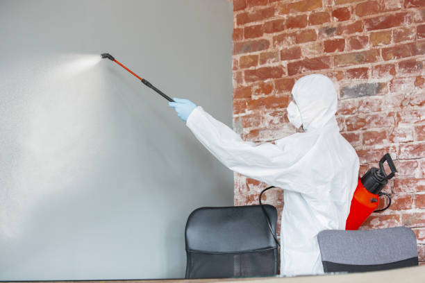 Best Industrial Mold Remediation  in West Lafayette, OH