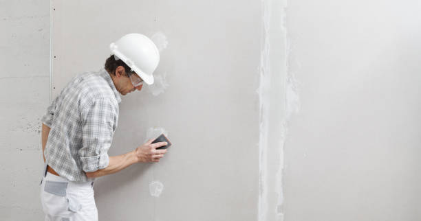 Best Environmental Consulting for Mold Prevention  in West Lafayette, OH