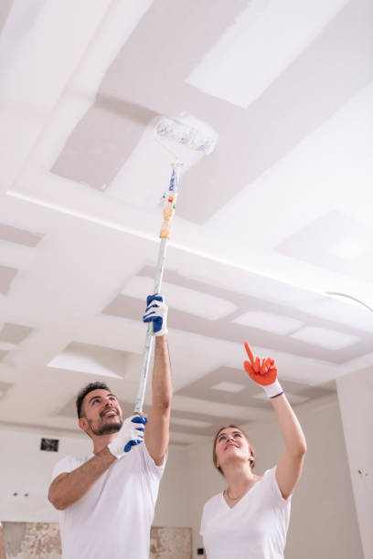 West Lafayette, OH Mold Removal Company