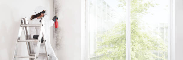 Best Mold Removal for HVAC Installations  in West Lafayette, OH