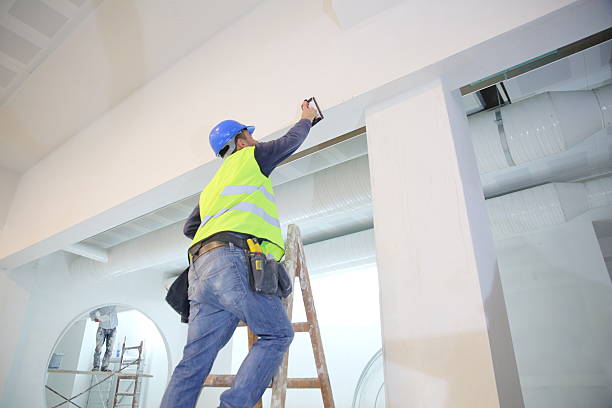 Mold Odor Removal Services in West Lafayette, OH